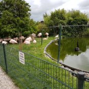 Stichting Van Blanckendaell Park